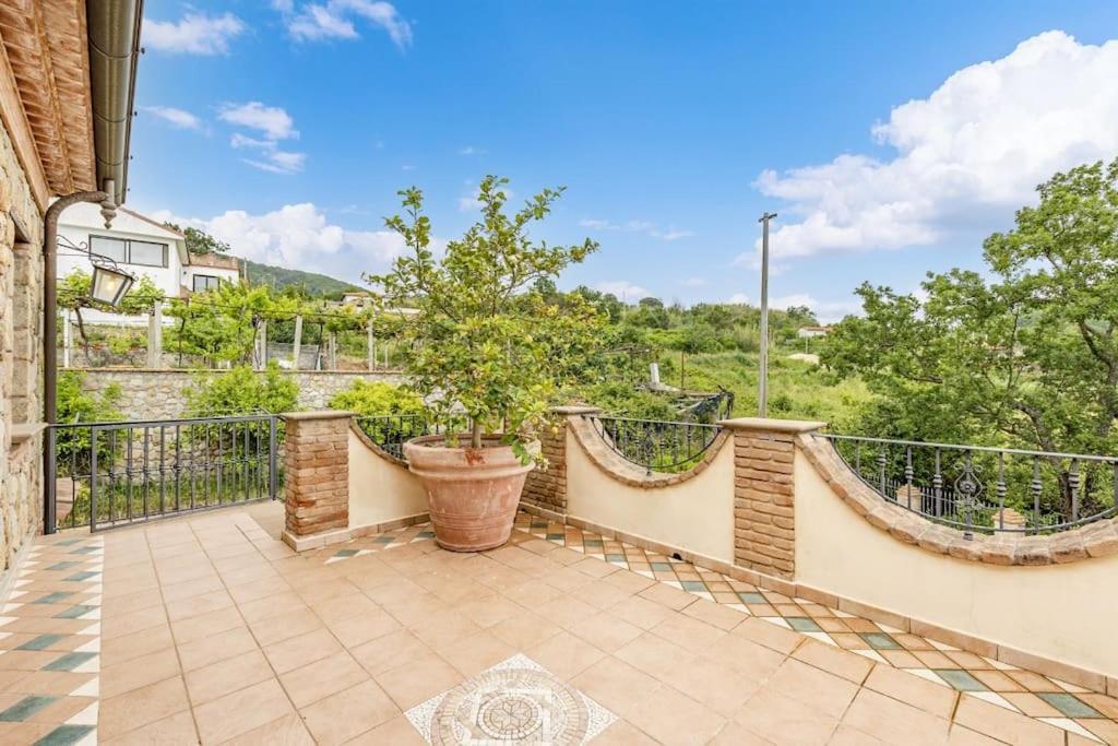 La Villa Di Nonna Angela ปิชอตตา ภายนอก รูปภาพ