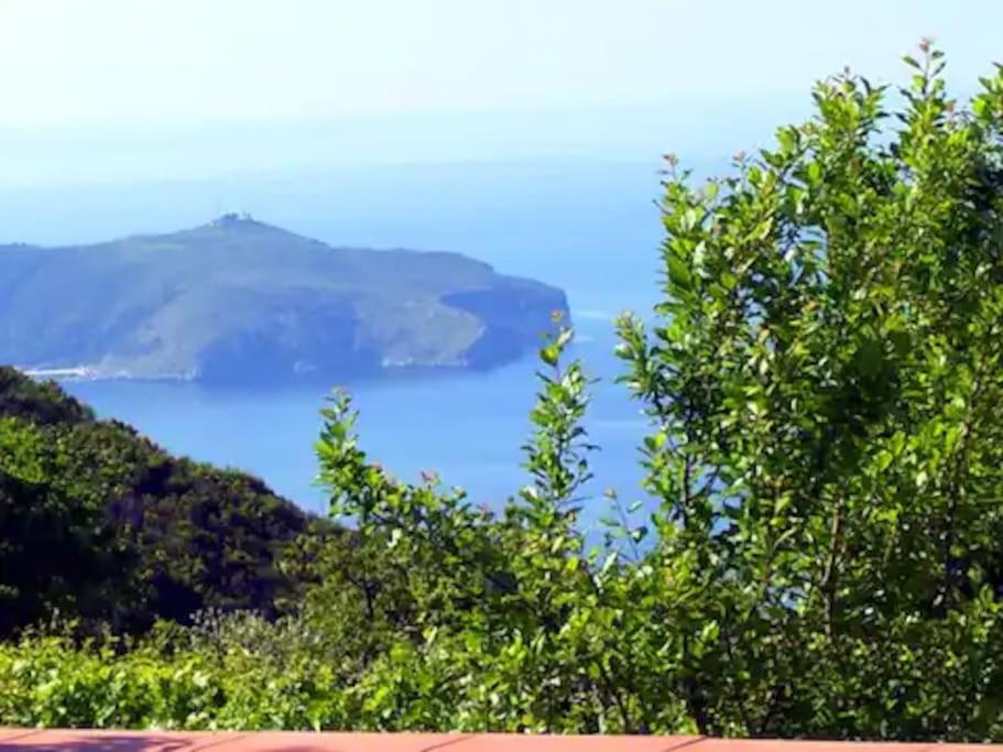 La Villa Di Nonna Angela ปิชอตตา ภายนอก รูปภาพ